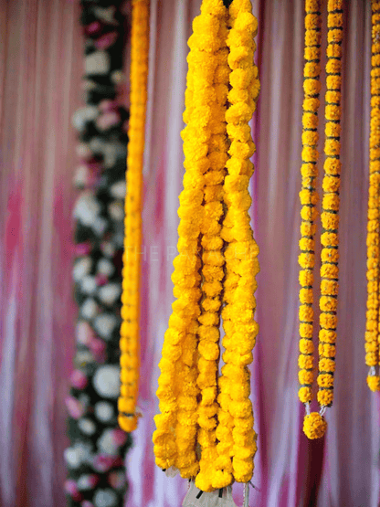 Yellow Plain Zandy Hangings