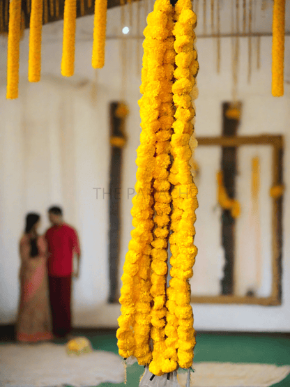 Yellow Plain Zandy Hangings